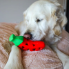 Steel Dog Chili Pepper Treat Dispenser Slow Treater Dog Toy