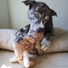 Ruffian Dino Woolly Mammoth Plush, Squeaker Toy