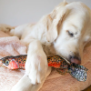 Steel Dog Denim Rainbow Trout Plush, Squeaky Toy, Tough Chewer