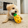 Steel Dog Slow Treater Pineapple Toy