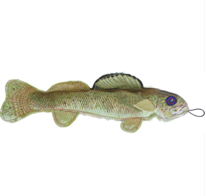 Denim Walleye Crinkle Plush, Squeaky Toy, Tough Chewer