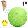 BarkBound Smart Interactive Remote Controlled Dog Ball Toy