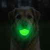 Glow in the Dark Glitter Fetch Balls 2 Pack Dog Toy