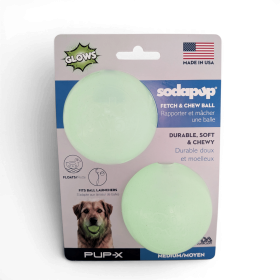 Glow in the Dark Glitter Fetch Balls 2 Pack Dog Toy