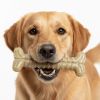 SodaPup Tough Nylon Bone Chew Toy for Aggressive Chewers
