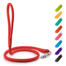 Rolled Leather Dog Leash 4Ft x 0.3 in for Small Medium Dogs Heavy Duty Leather Puppy Leash for Outdoor