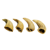 Water Buffalo Horn Core - Horn Inner Part - 100% Natural