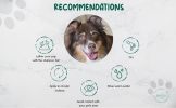 BeNat All-Natural Pet Oat & Lavender Shampoo Bar