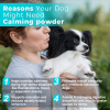 Calming Herbal Powder for Dogs for Stress & Relaxation Support
