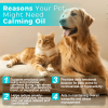 Natural Calming Oil for Dogs & Cats for Stress and Anxiety Support