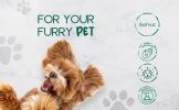 BeNat All-Natural Pet Oat & Lavender Shampoo Bar