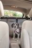 Pet Life Easy Hook Folding Backseat Car Barrier for Dogs