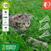 Flea and Tick Prevention for Dogs Cats Rabbits Natural Flea Treatment