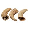 Water Buffalo Horn Core - Horn Inner Part - 100% Natural