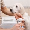 Stainless Steel Dog Nail Clippers with Safety Guard and Nail File