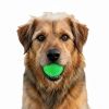 Green Glitter Floating Dog Balls 2 Pack