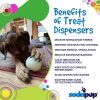 Glow in the Dark Dog Ball Treat Dispenser, Floating Chew Toy, 4 Inch