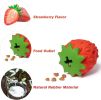 Interactive Rubber Dog Treat Ball Toy for Chewing, Dental Care & Enrichment