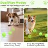 BarkBound Smart Interactive Remote Controlled Dog Ball Toy