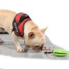 Interactive Rubber Treat Dispensing Squeaky Dog Ball Toy for Chewing, Fetch & Dental Care