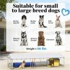 Large Outdoor Dog Kennel with UV Resistant Roof Galvanized Steel Frame and Lockable Door