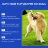 Dog Joint Support Supplement with Peppermint Extract for Mobility & Joint Care