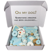 Winter Dog Treat Gift Box, Individually Wrapped Seasonal Treats