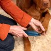 Rechargeable Pet Nail Grinder with Adjustable Speeds for Dogs Claw Care