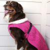 DoggieDesign Alpine Tuf Terrain Dog Coat