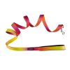 DoggieDesign American River Ombre Leash