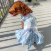 DoggieDesign Blue Daisy Dog Dress with Matching Leash