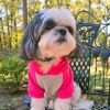 DoggieDesign Color-Block Hoodie