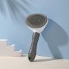Stainless Steel Needle Dog Hair Brush with Quick Release Button