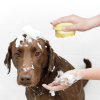 Soft Silicone Pet Hair Shampoo Comb Bath Brush for Dogs