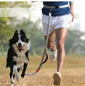 Hands Free Dog Leash - Durable Dual Handle Waist Leash with Reflective Bungee (colour: Orange -4211, Specification (L * W): 2.5*160cm)