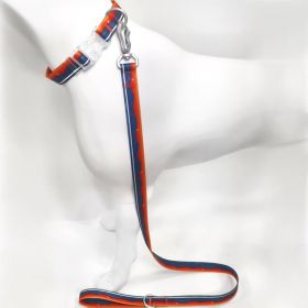 Blue Horizon Waterproof Dog Collar & Leash Set (size: M)