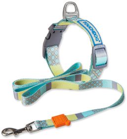 Trendzy 2-in-1 Dog Leash and Collar (Color: Blue, size: medium)