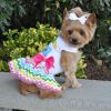 DoggieDesign Ice Cream Cart Dress with Matching Leash
