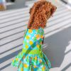 DoggieDesign Pineapple Luau Dog Harness Dress with Matching Leash