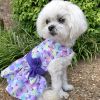 DoggieDesign Purple Butterfly Dog Dress with Matching Leash