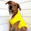 Doggie Design Slicker Raincoat with Striped Lining