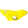 Doggie Design Slicker Raincoat with Striped Lining