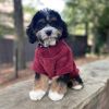 DoggieDesign Soft Plush Pullover