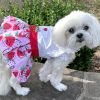 DoggieDesign Strawberry Picnic Dog Dress with Matching Leash