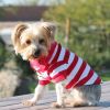 DoggieDesign Striped Dog Polo