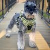 Doggie Design Venture Paw Pull Control Dog Harness