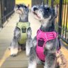 Doggie Design Venture Paw Pull Control Dog Harness