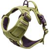 Doggie Design Venture Paw Pull Control Dog Harness