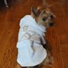 DoggieDesign White Gold Crown Cotton Dog Bathrobe